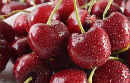 水果进口报关：智利陈峰子进口清关流程及用度