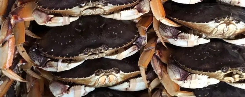 水产进口：海鲜进口从香港中转内地若何清关？