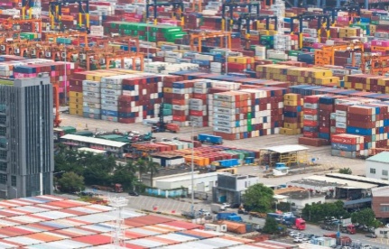 高效物流护航年味传递：从湾区花圃到澳门街头的“抢鲜”通关