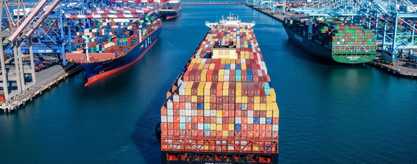 跨洋龙虾抢“鲜”进境：pp电子游戏进出口专业物流规划护航生鲜年货黄金季