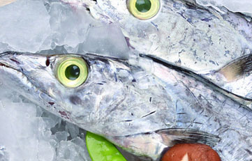 冻带鱼进口报关当苦衷项？