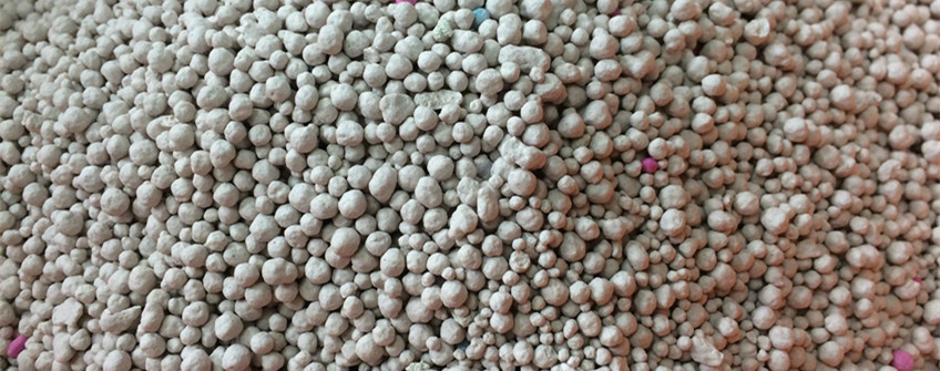 猫砂从国表若何进口到国内？