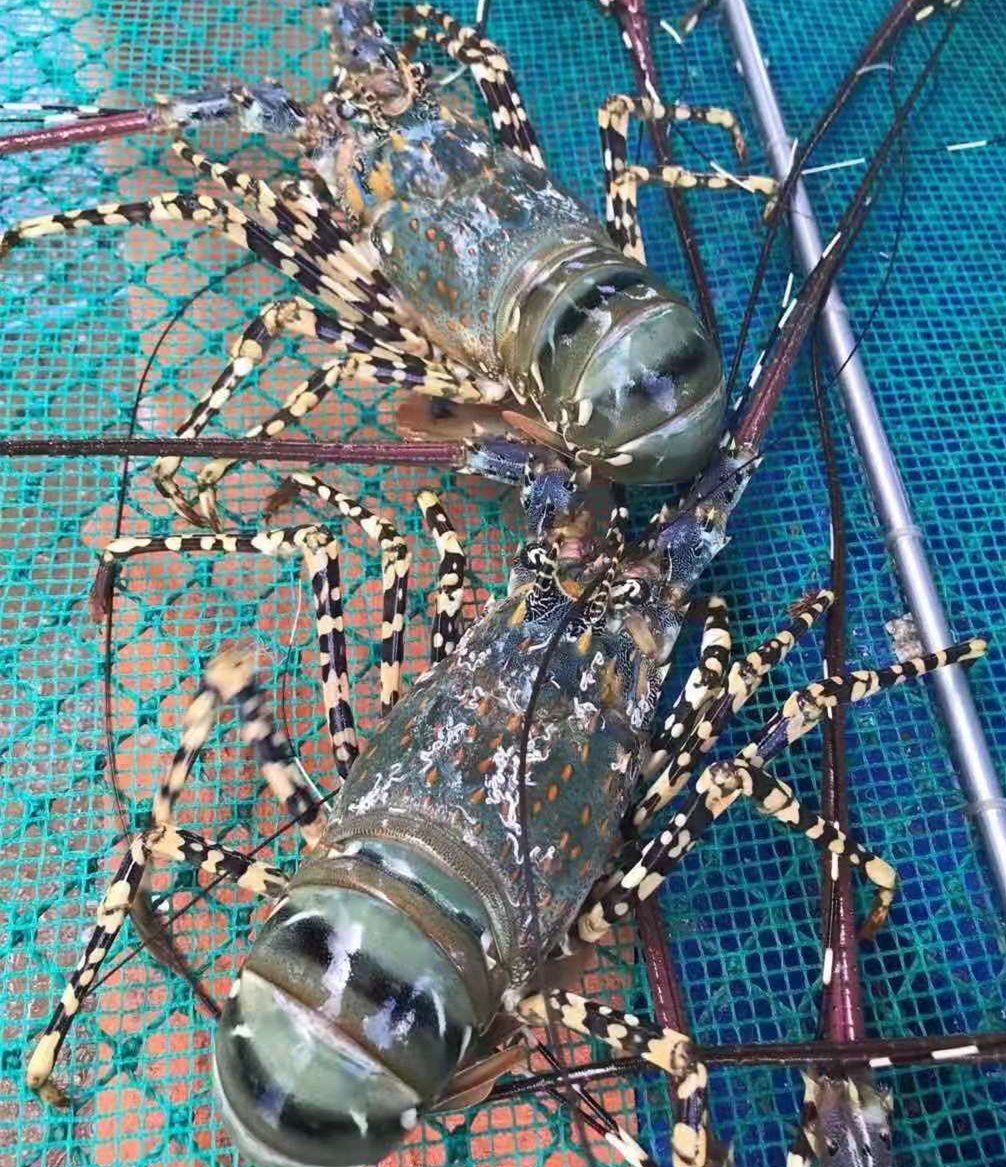 PP电子游戏(试玩)官方网站-APP下载