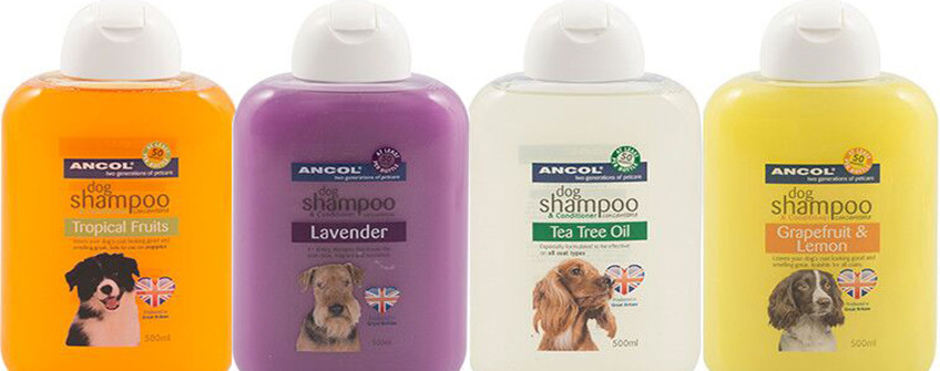 深圳进口报关：宠物洗澡露清关用度有哪些？